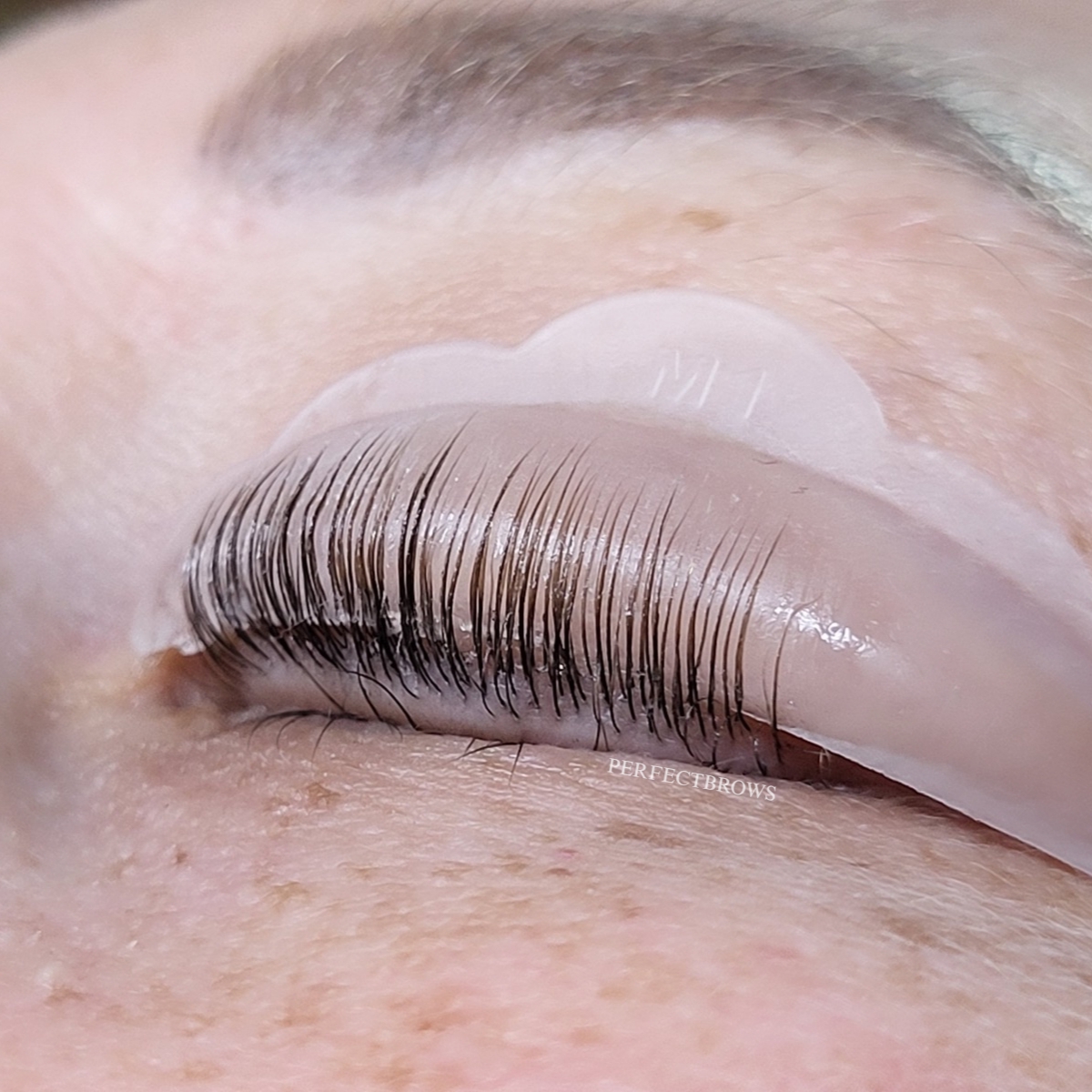 LashLifting Ergebnis 6