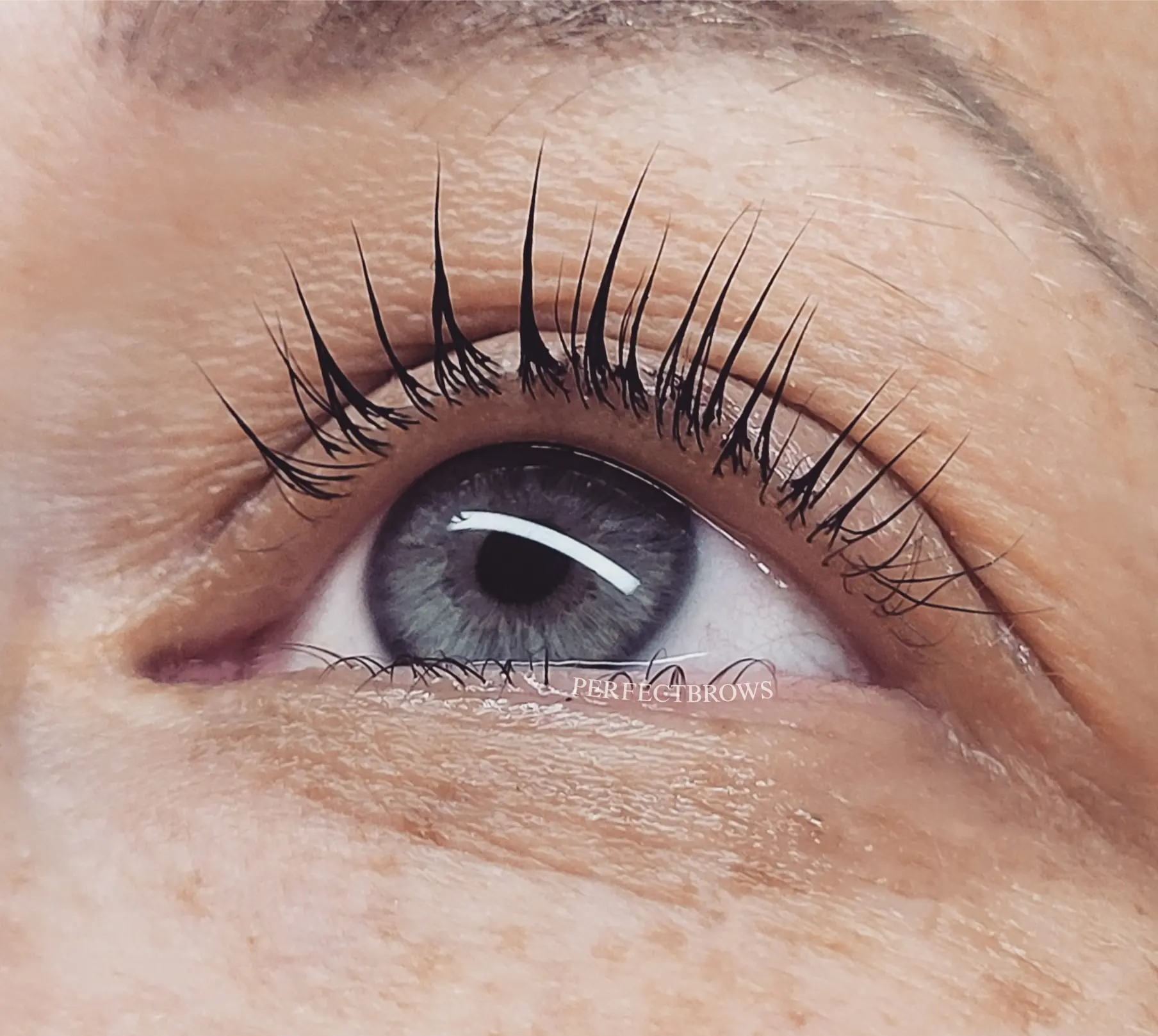 LashLifting Ergebnis 2